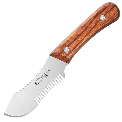 best knife for julienne